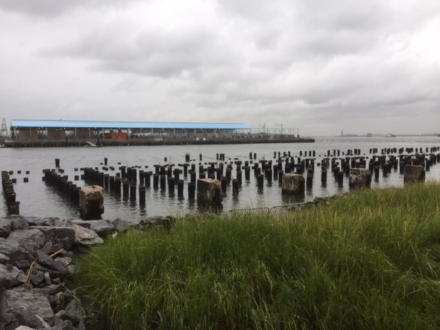 Brooklyn Bridge Park--Pier 2