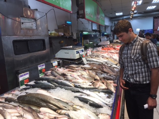 Fish Market